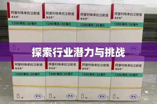 宿迁探索行业潜力与挑战