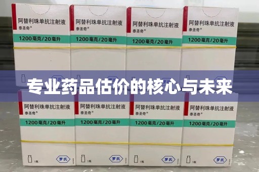 宿迁专业药品估价的核心与未来